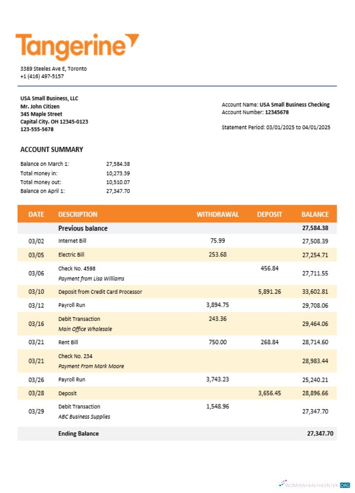 Download Tangerine business bank statement Word and PDF format Photoshop template